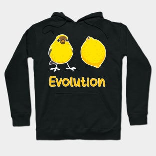 Convergent Evolution of a Brid into a Lemon. Science Pun Hoodie